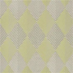 chaconne - acacia