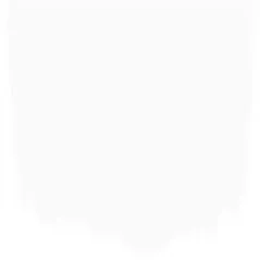 PURE WHITE NO. 1 PAINT