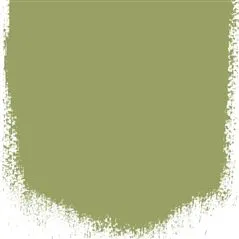 ASPARAGUS FERN NO. 94 FARBE