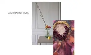 Fall 2018 collection: Jaipur Rose