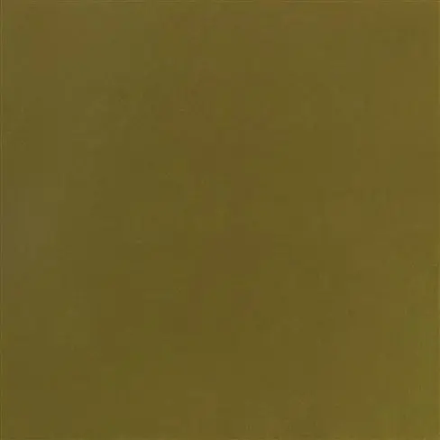 Calozzo Olive
