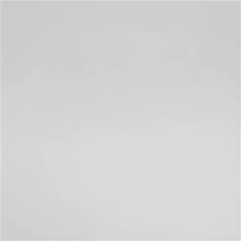 Calozzo Stretto Platinum