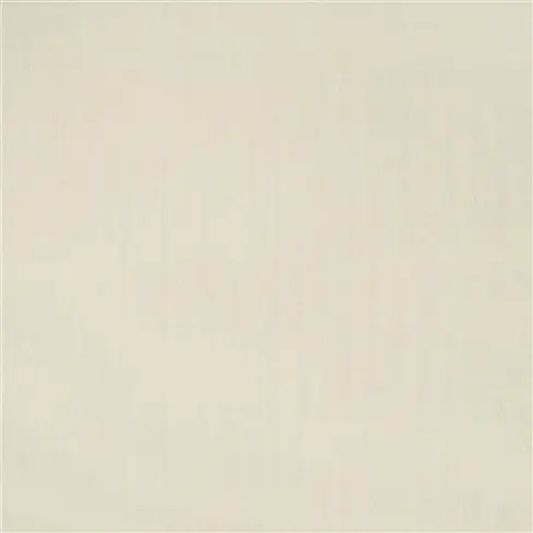 cali - eggshell