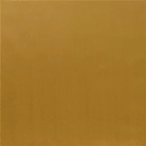 patia - copper