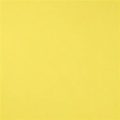 santiago - yellow