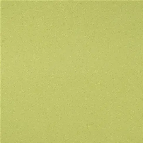 santiago - pistachio
