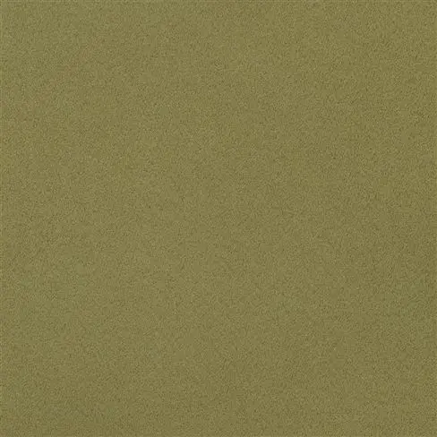 santiago - fern