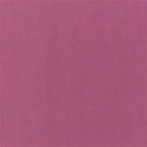 Valloire Fuchsia