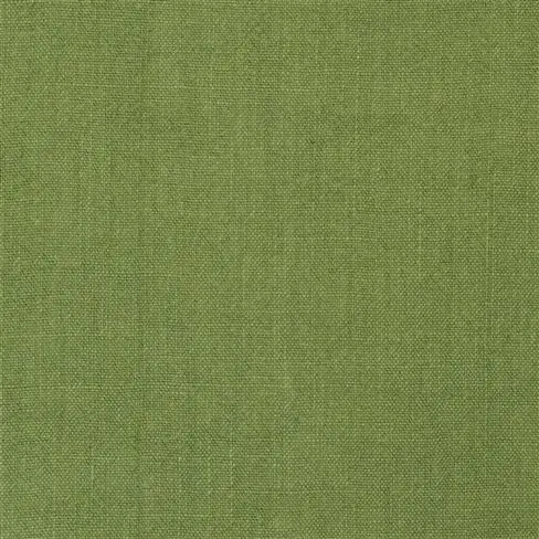 brera lino - forest