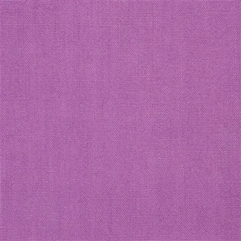 brera lino - crocus