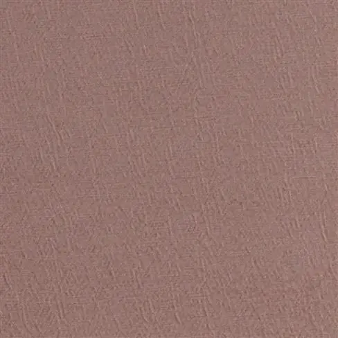 Anshu Pale Rose