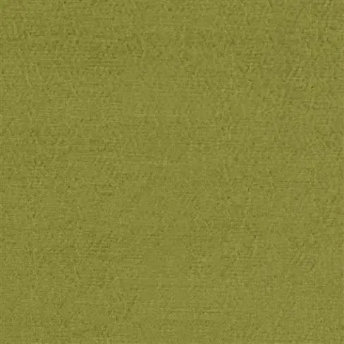 Anshu Lime