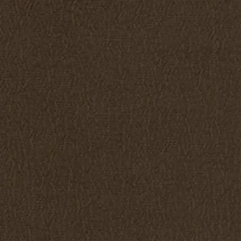 Anshu Cocoa