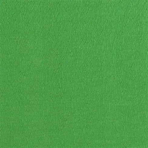 Anshu Emerald 