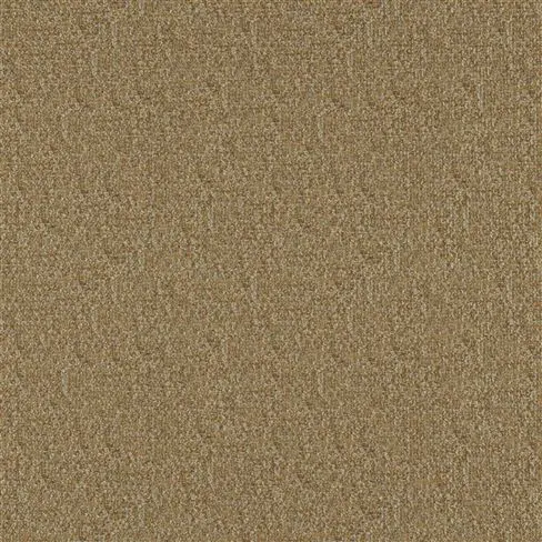 Vezzano Seagrass