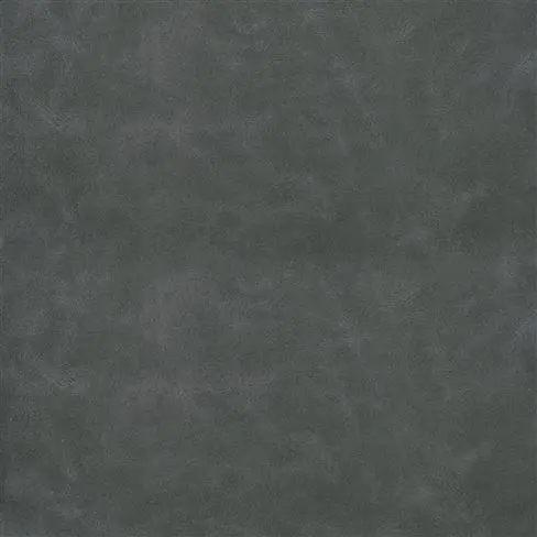 Matara Lucida Zinc