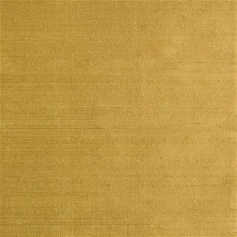 chinon - sienna