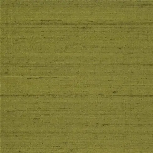chinon - moss