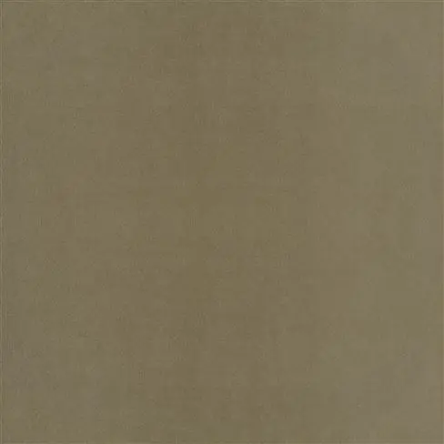 Velluto Stretto Roebuck