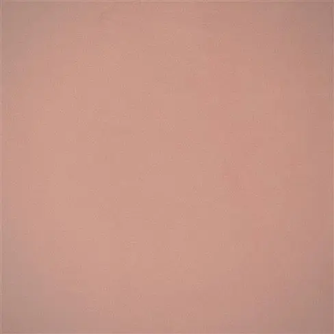 Velluto Pale Rose