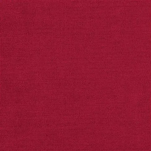 Tarazona Raspberry