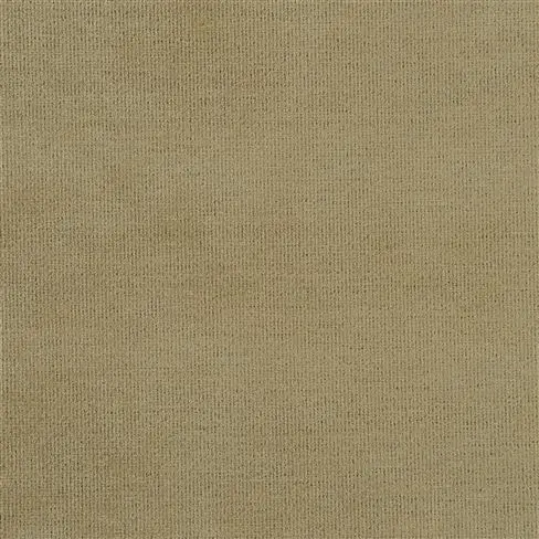 Tarazona Hemp