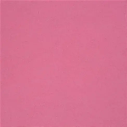 ernani - fuchsia