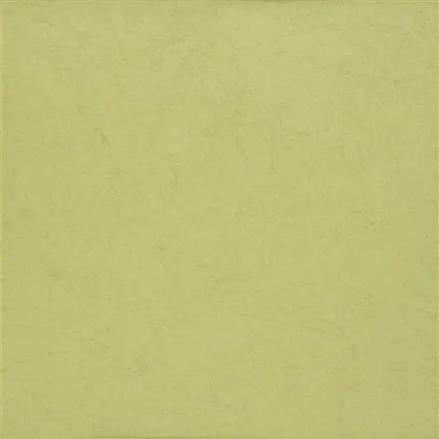 ernani - moss