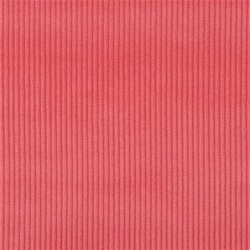 Corda Azalea