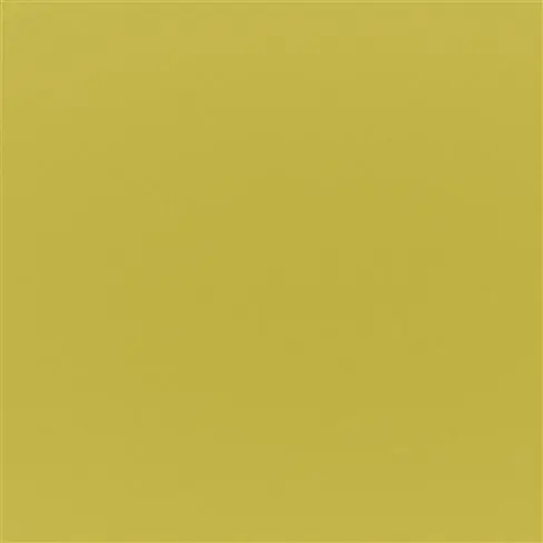 Tiber Acacia