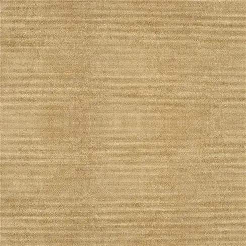 glenville - nutmeg