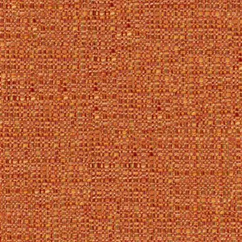 Skipton Coral