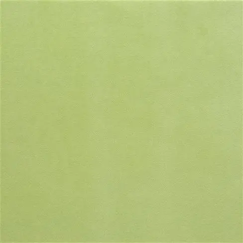 varese - leaf