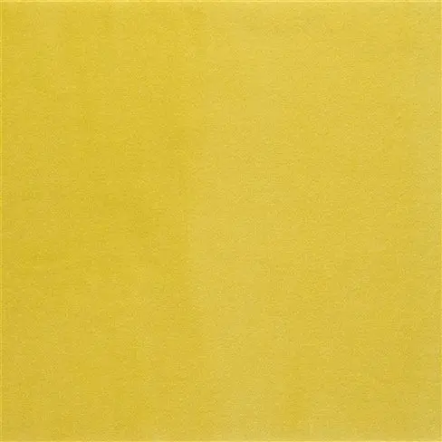 varese - primrose