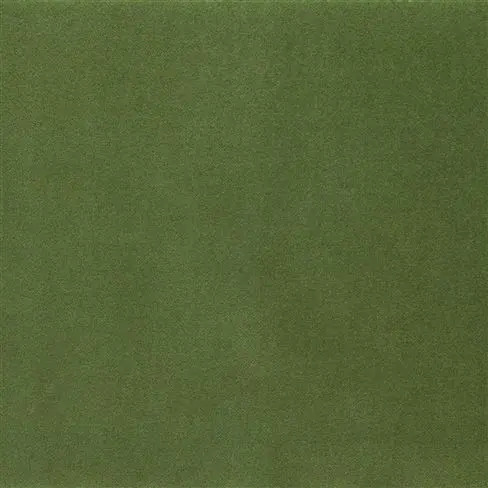 varese - grass