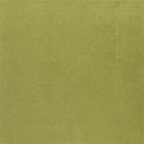 varese - pale moss