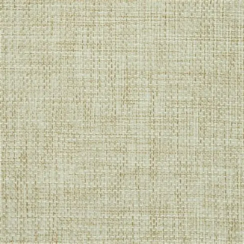 catalan - seagrass