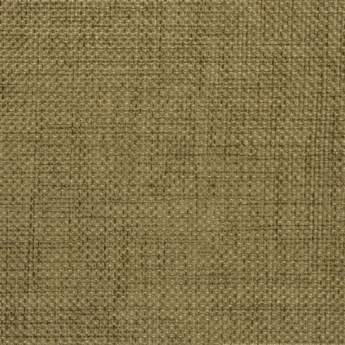 catalan - hazel