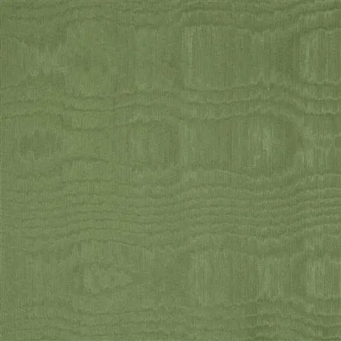 chinaz - grass