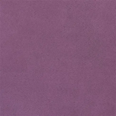 mezzola lusso - viola