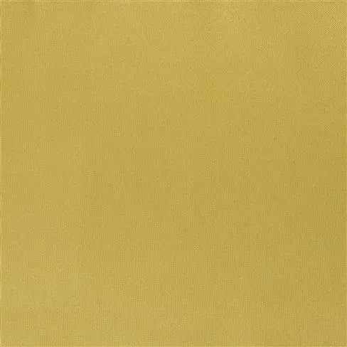 cordoba - honey