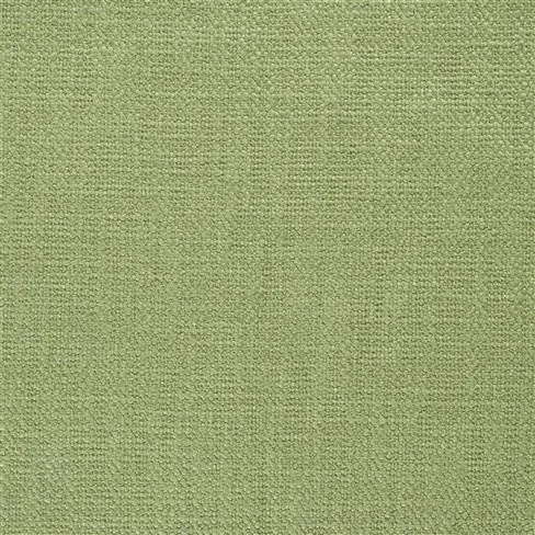 trento - seagrass