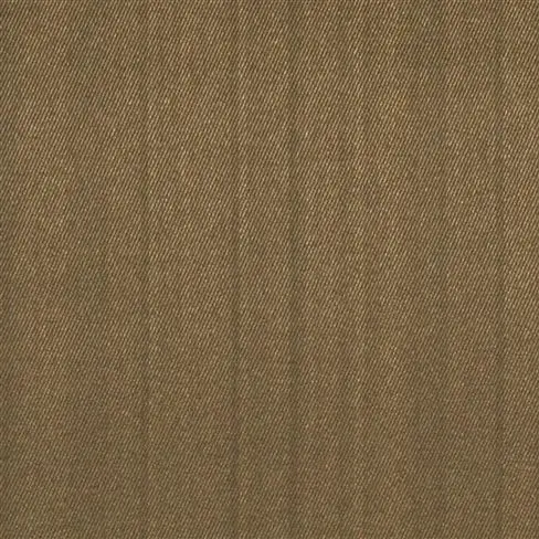 moray - nutmeg