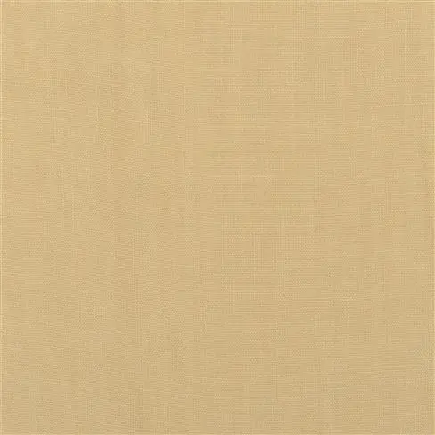 Brera Lino Maize