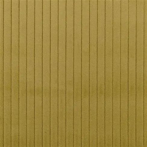Cassia Cord Fern