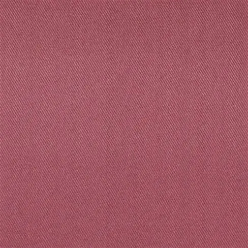 moray - berry