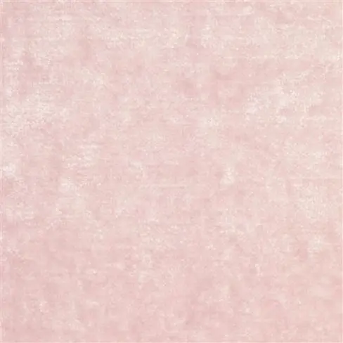 appia - pale rose
