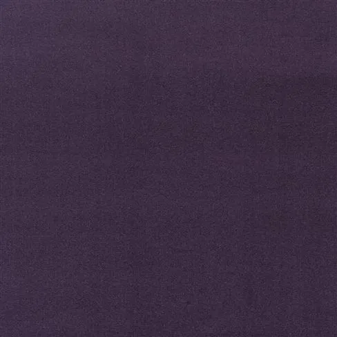 Riding Velvet - Purple