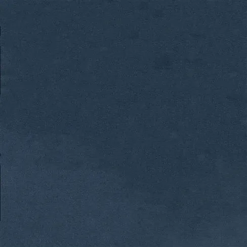 Riding Velvet - Blue Ribbon