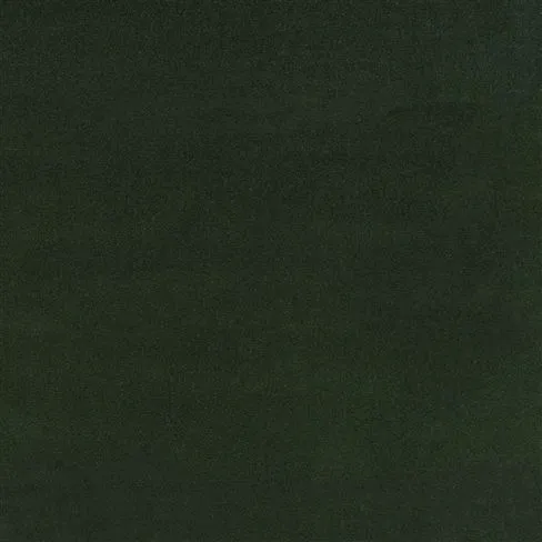 Riding Velvet - Green